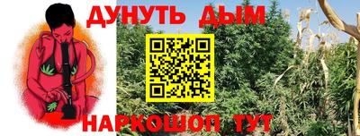 прущие грибы Каменск-Шахтинский